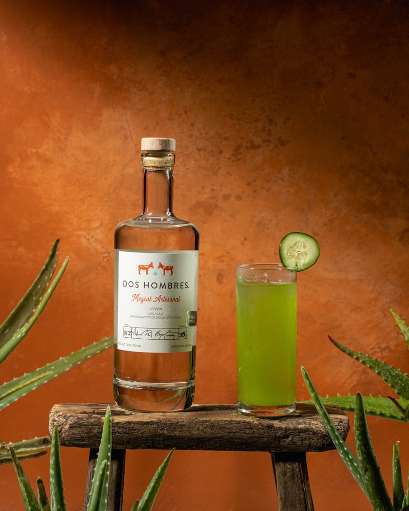 Nights Burn Bright green mezcal cocktail with cucumber garnish and aloe plants
