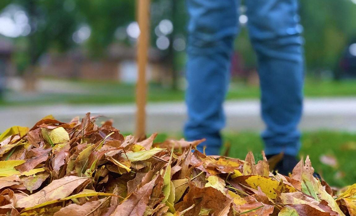 yard care tips for busy dads