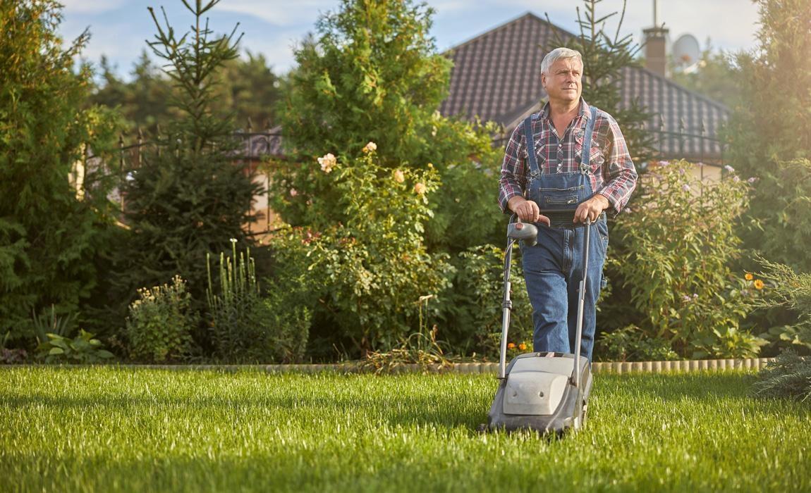 spring lawn care and other maintenance tasks